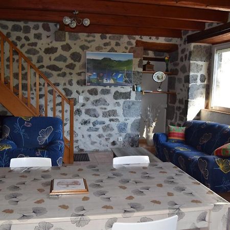 Gite 4 Personnes Dans Le Cantal Animaux Bienvenus Lascelle Dış mekan fotoğraf